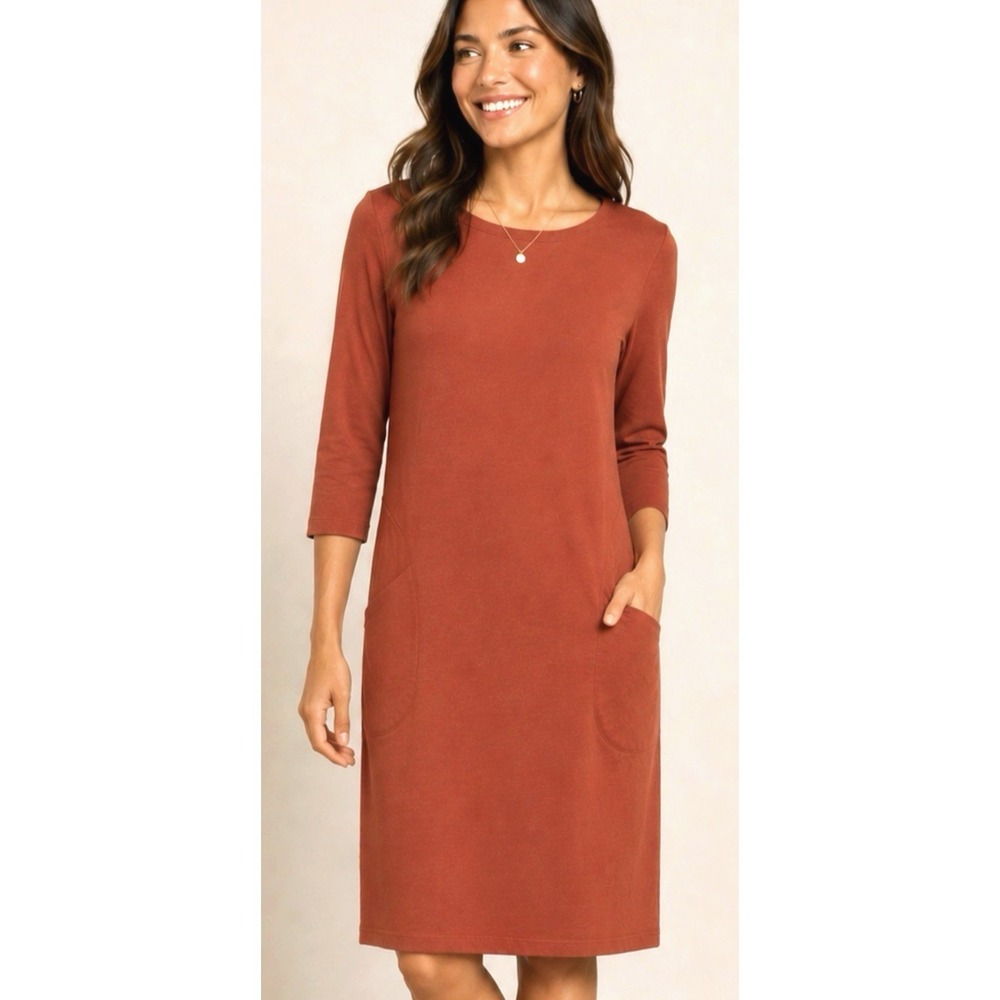 Garnet Hill Casual Boat Neck Shift Dress Size 6 Minimalist Organic Cotton Travel